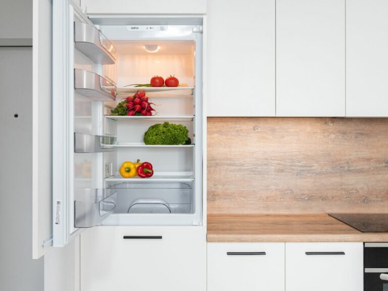 Best Single Door Refrigerator in India | Buyers Guide and Reviews
